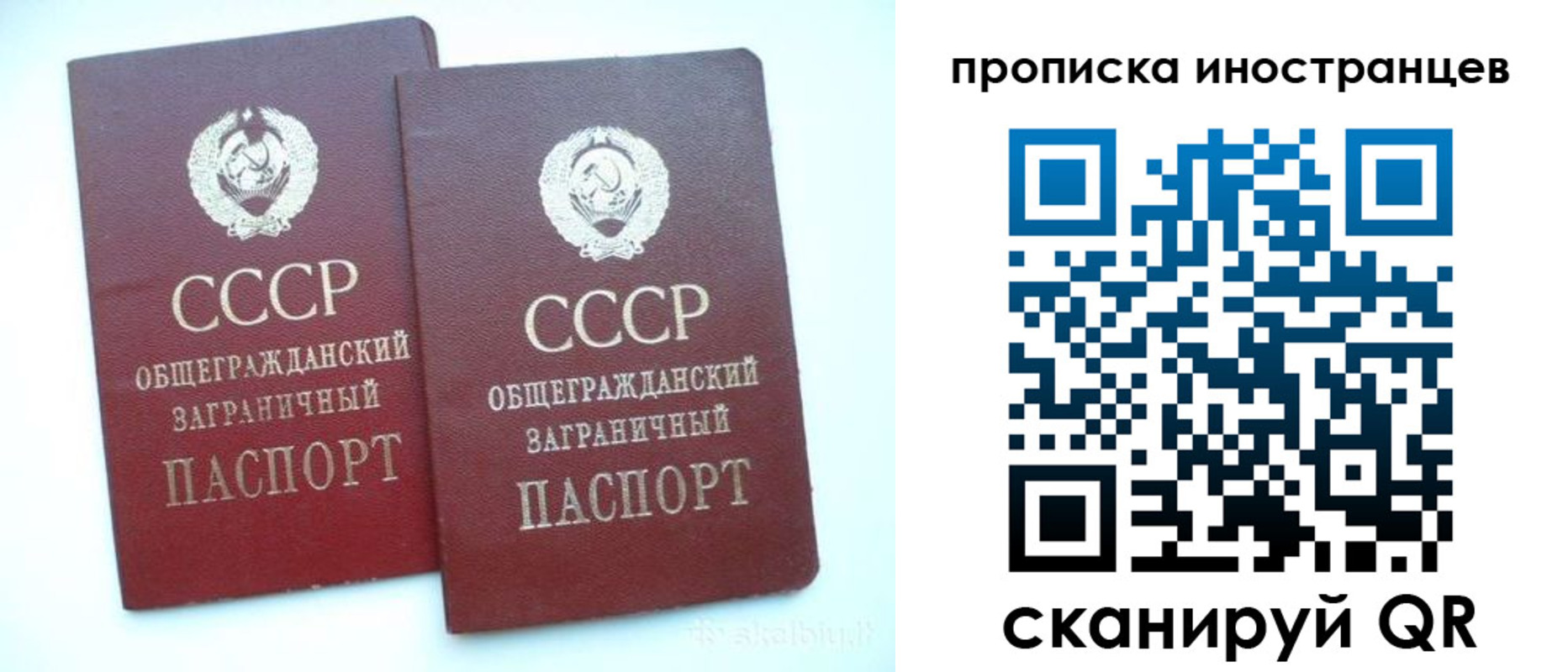 прописка 2025 в Ельце